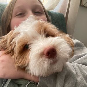 Meet your Posher, Natalie